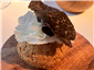 Comte gougere with truffle